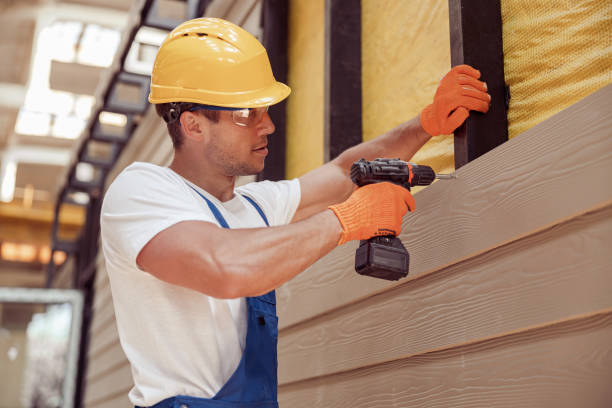 Best Aluminum Siding Installation  in Springfield, SD