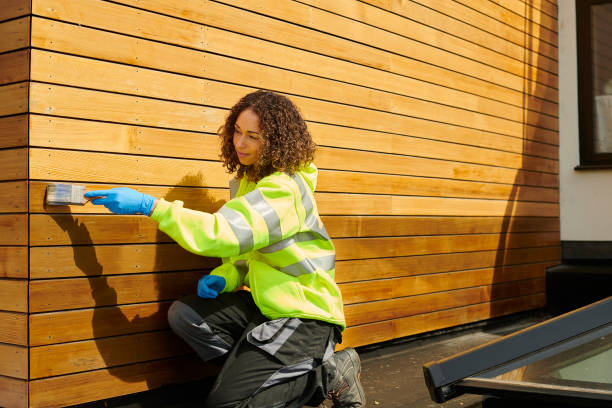 Best Steel Siding Installation  in Springfield, SD
